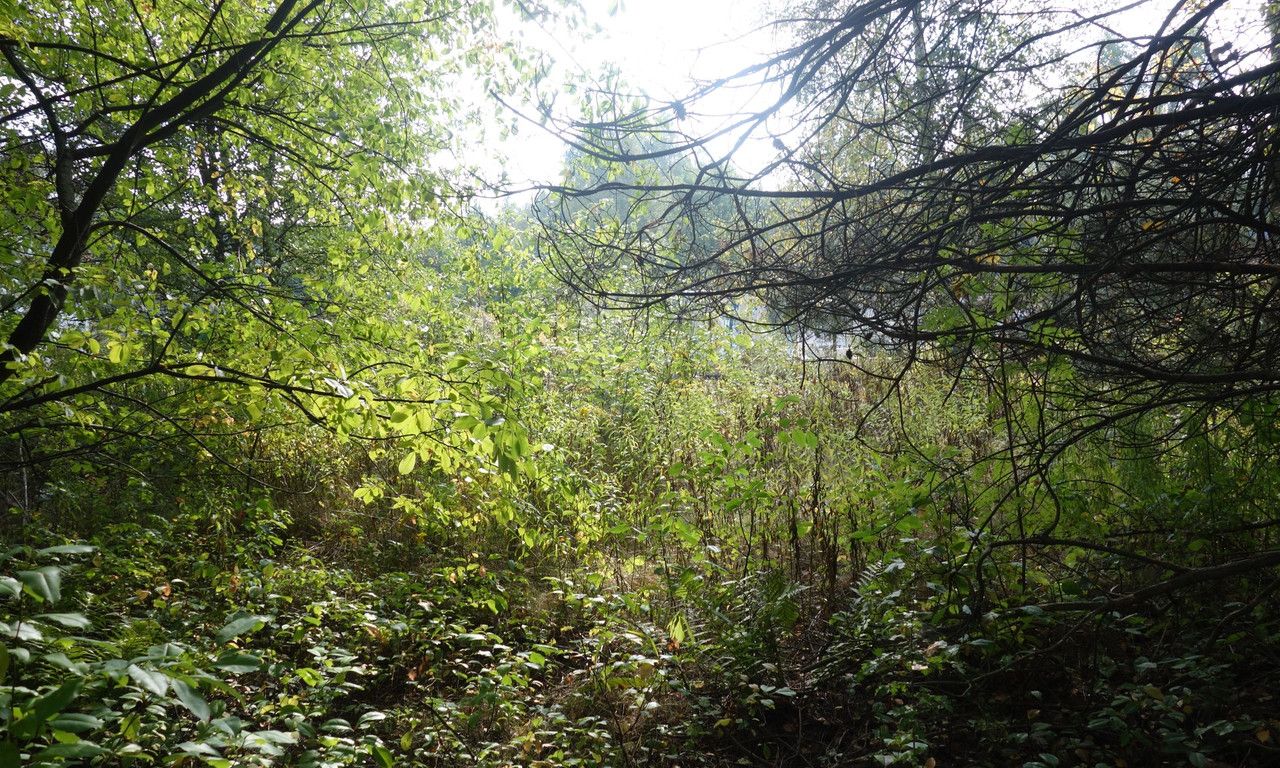 Działka budowlana Wódka, ul. Słoneczna. Zdjęcie 5