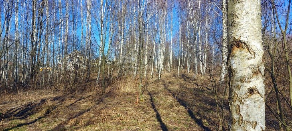 Działka budowlana Różnowo. Zdjęcie 4