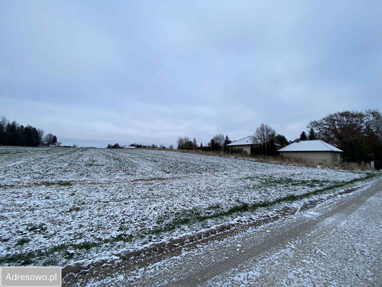 Działka rolno-budowlana Bystrzejowice Pierwsze. Zdjęcie 8