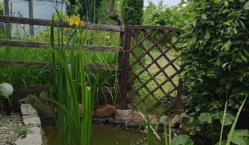 Działka rod Gliwice Trynek, ul. Liliowa