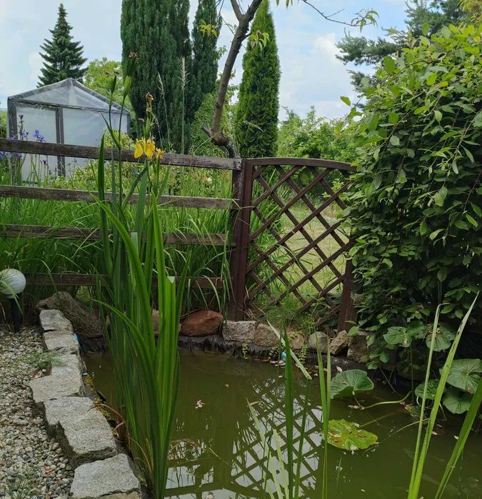 Działka rod Gliwice Trynek, ul. Liliowa. Zdjęcie 2