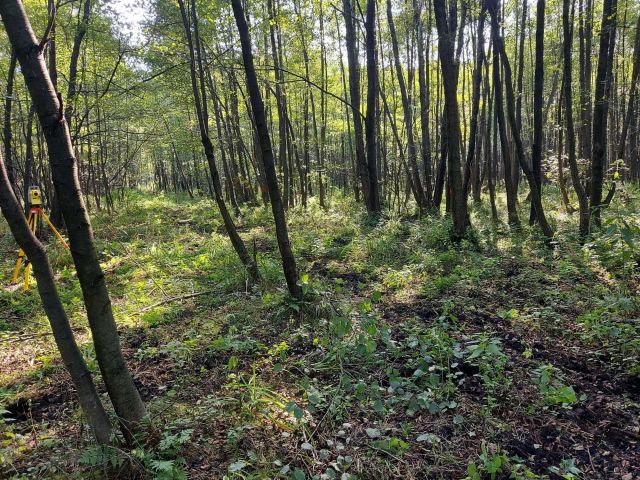 Działka rekreacyjna Borków. Zdjęcie 1