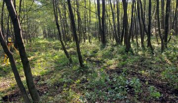 Działka rekreacyjna Borków