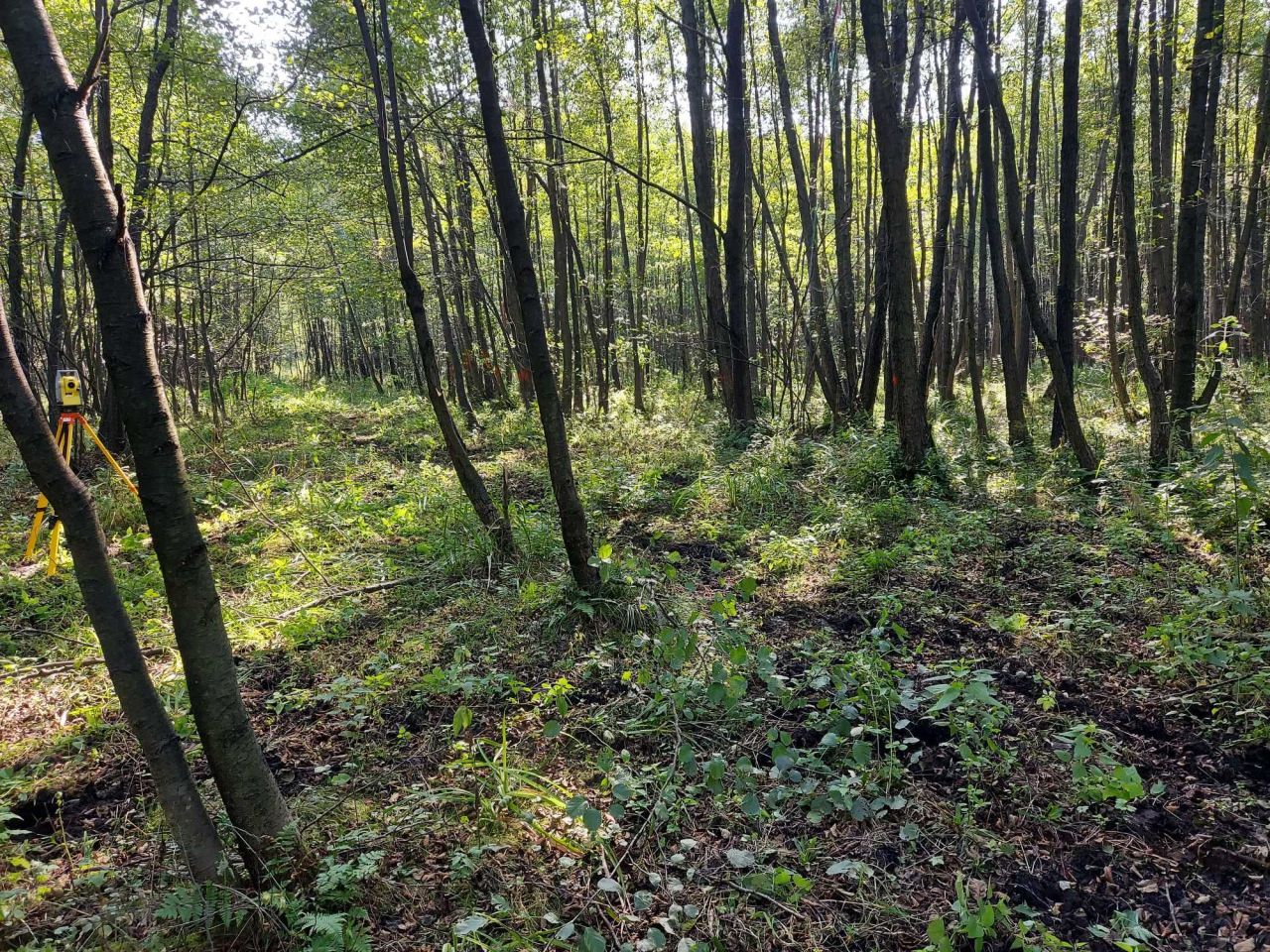 Działka rekreacyjna Borków