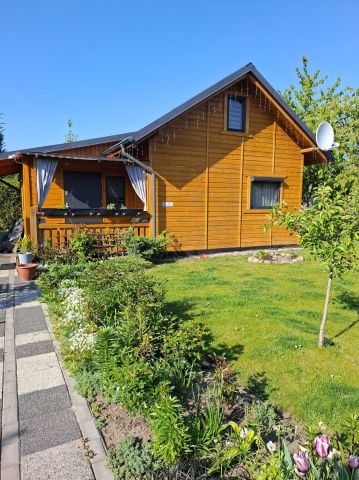 Działka rod Gdańsk Stogi, ul. Wosia Budzysza. Zdjęcie 1