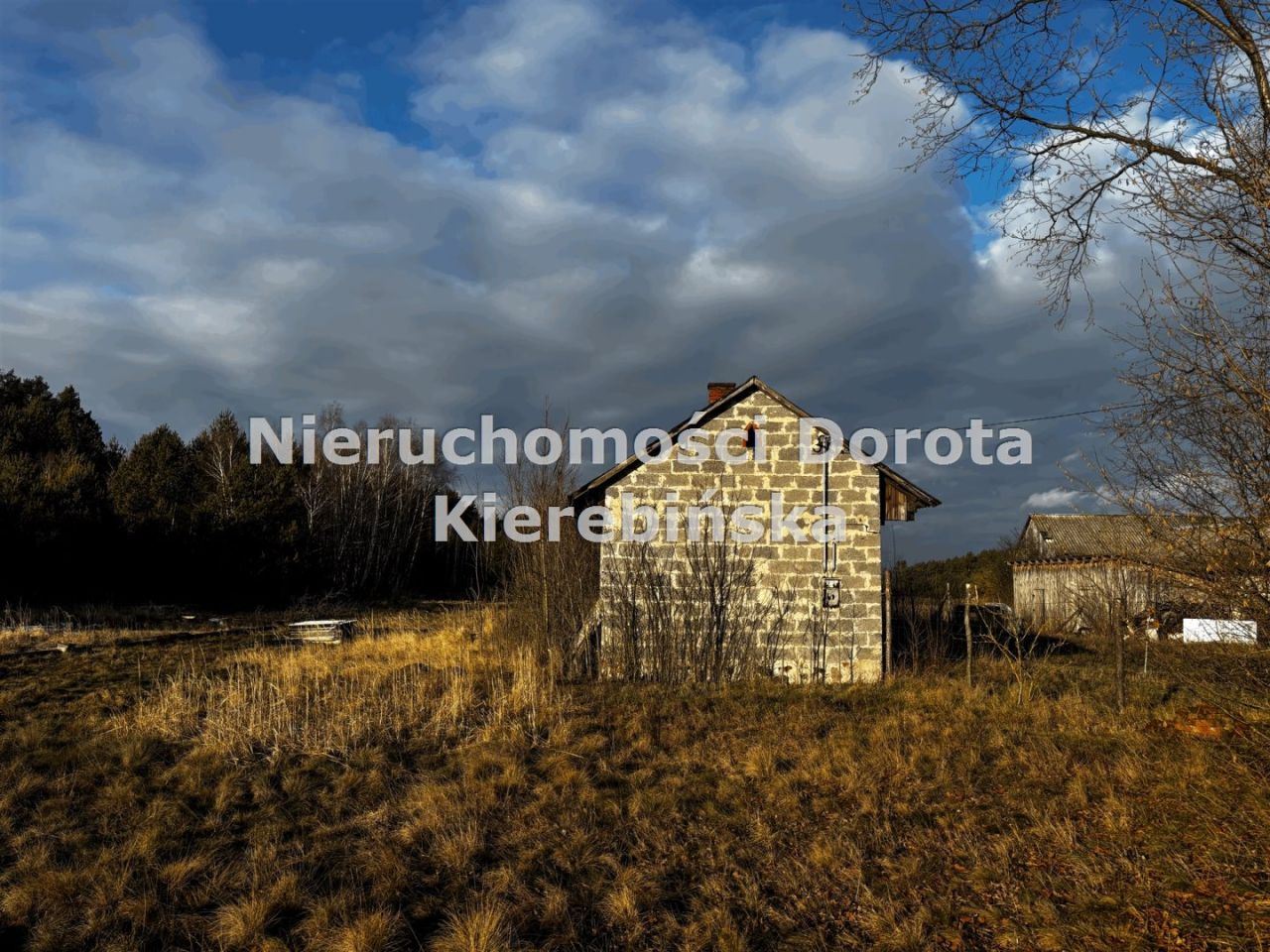 Działka Brzustów. Zdjęcie 11