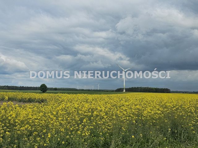 Działka rolna Stefanów. Zdjęcie 2