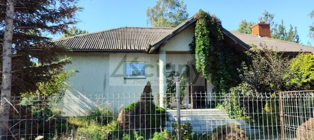 Działka rolna Bieniewo-Parcela. Zdjęcie 4