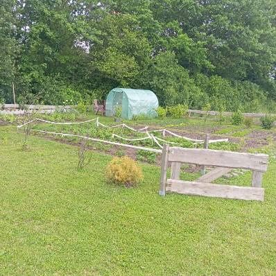 Działka budowlana Rzyszczewo. Zdjęcie 3