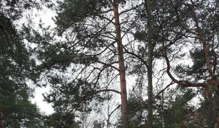 Działka budowlana Józefów Michalin