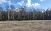 Działka budowlana Sąsieczno Miszek, ul. Adama Mickiewicza. Zdjęcie 1