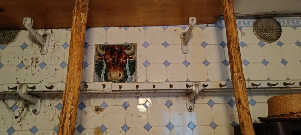 dom wolnostojący, 4 pokoje Stare Rochowice. Zdjęcie 9