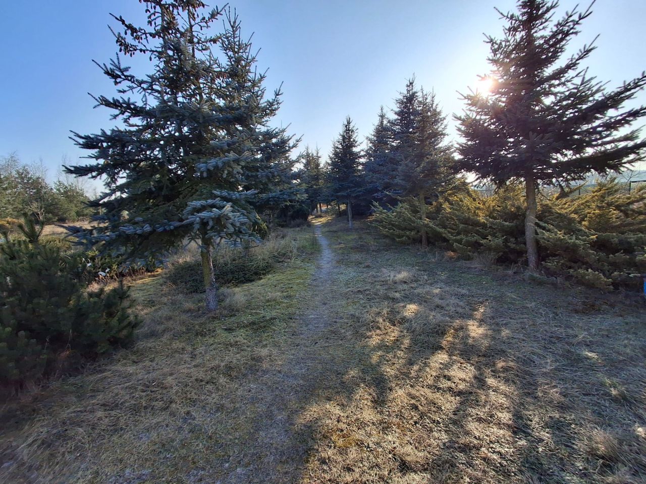 Działka budowlana Murzynowo Leśne, ul. Poznańska. Zdjęcie 6