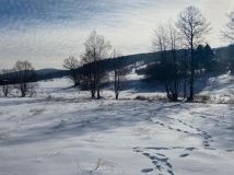 Działka budowlana Nowy Gierałtów. Zdjęcie 3