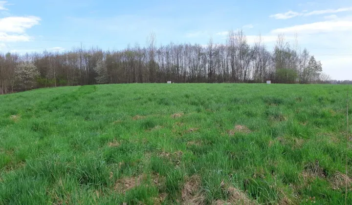 Działka budowlana Miłoszów