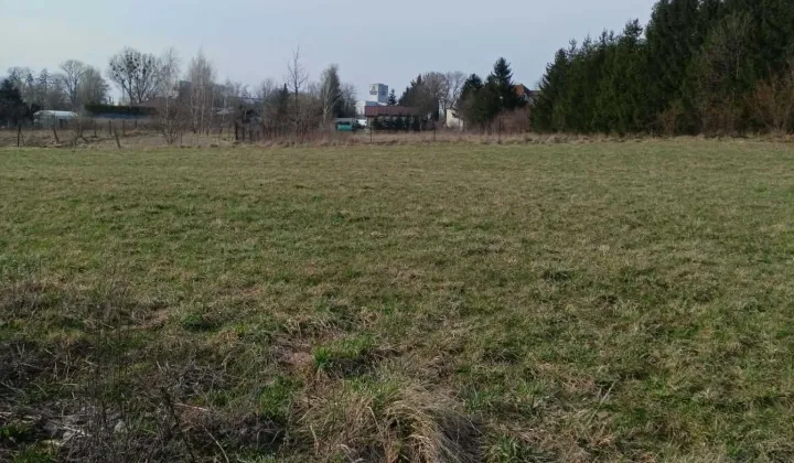 Działka budowlana Rypin, ul. Sadowa