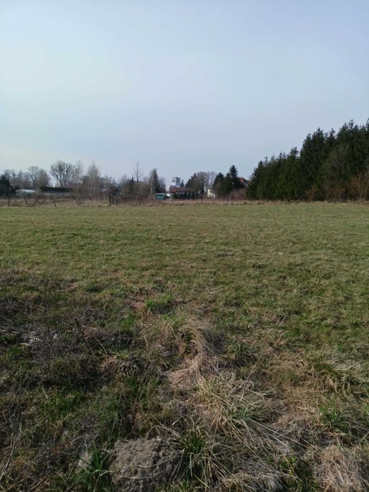 Działka budowlana Rypin, ul. Sadowa. Zdjęcie 1