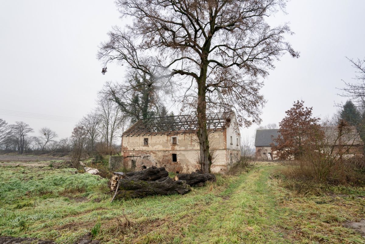 Działka budowlana Siekierowice. Zdjęcie 12