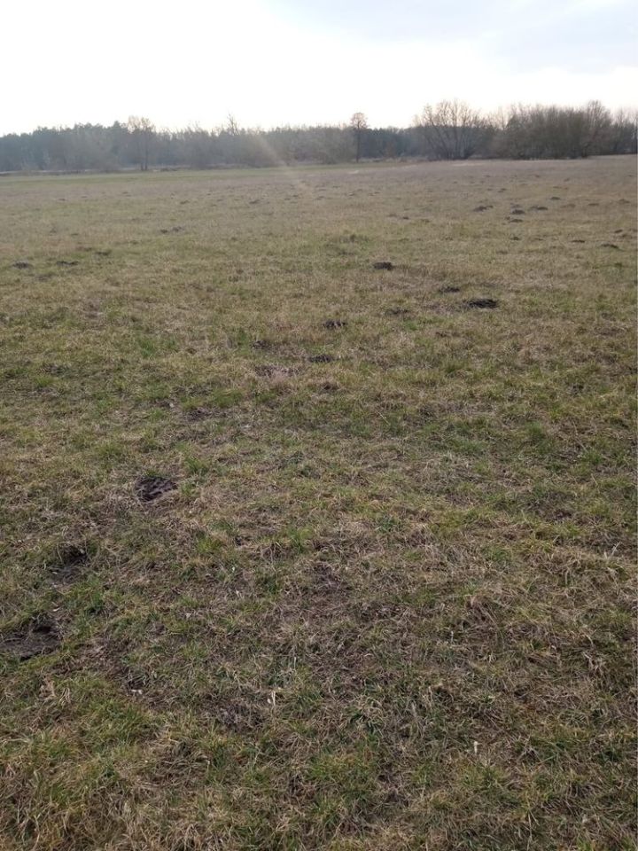 Działka rolna Ludwinowo. Zdjęcie 2