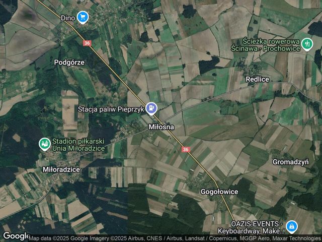 Działka leśna Miłosna. Zdjęcie 1