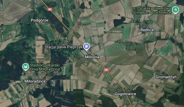 Działka leśna Miłosna