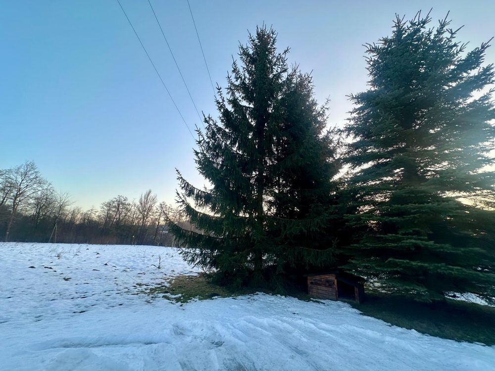 dom wolnostojący Latoszyn. Zdjęcie 3