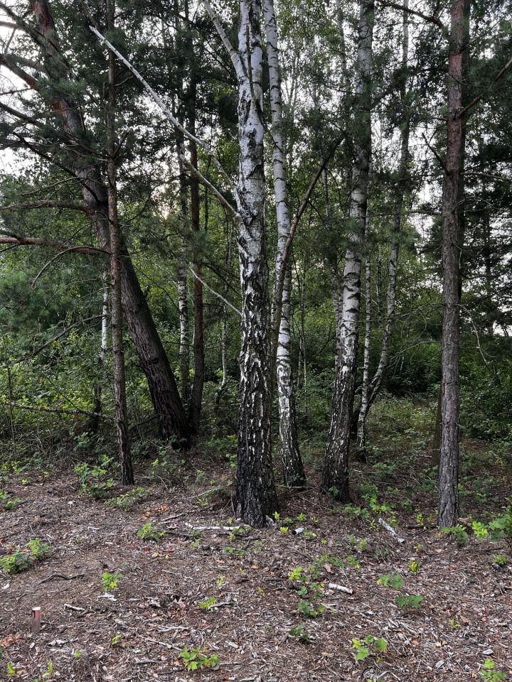 Działka budowlana Anastazew. Zdjęcie 11