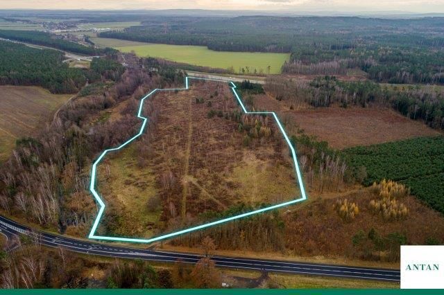 Działka inwestycyjna Strzelno, Zgorzelecka. Zdjęcie 11