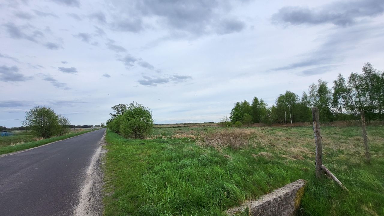 Działka budowlana Górzyn. Zdjęcie 12