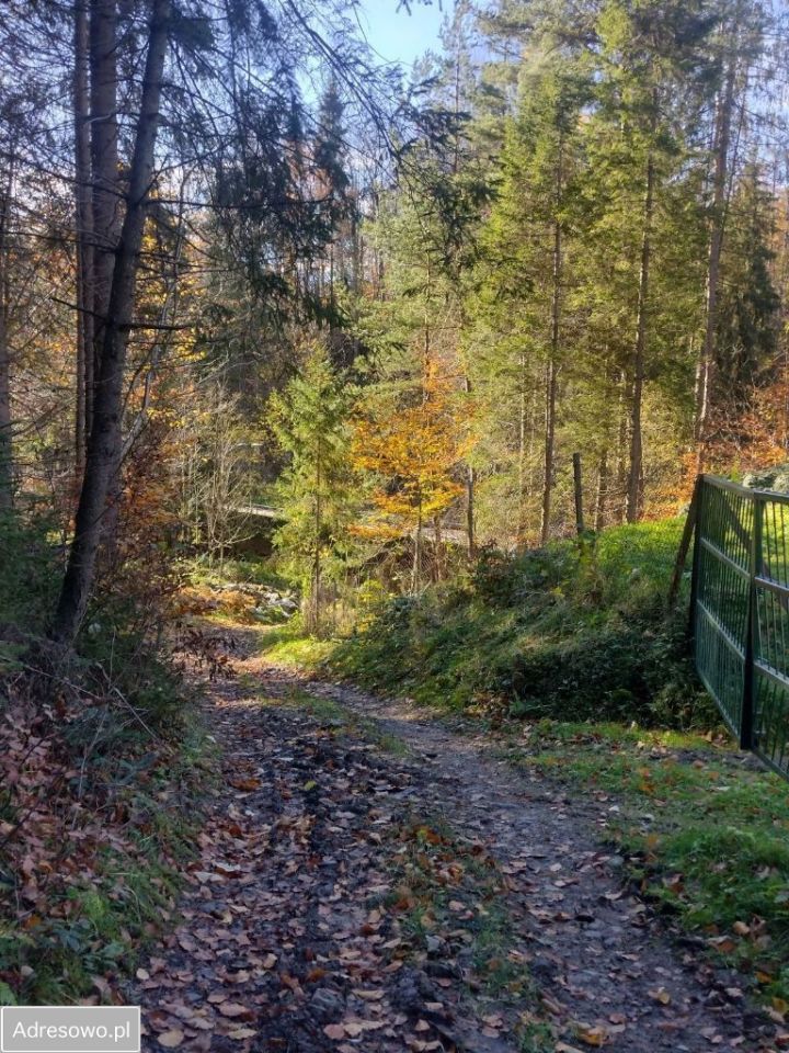 Działka rekreacyjna Szczawa. Zdjęcie 12