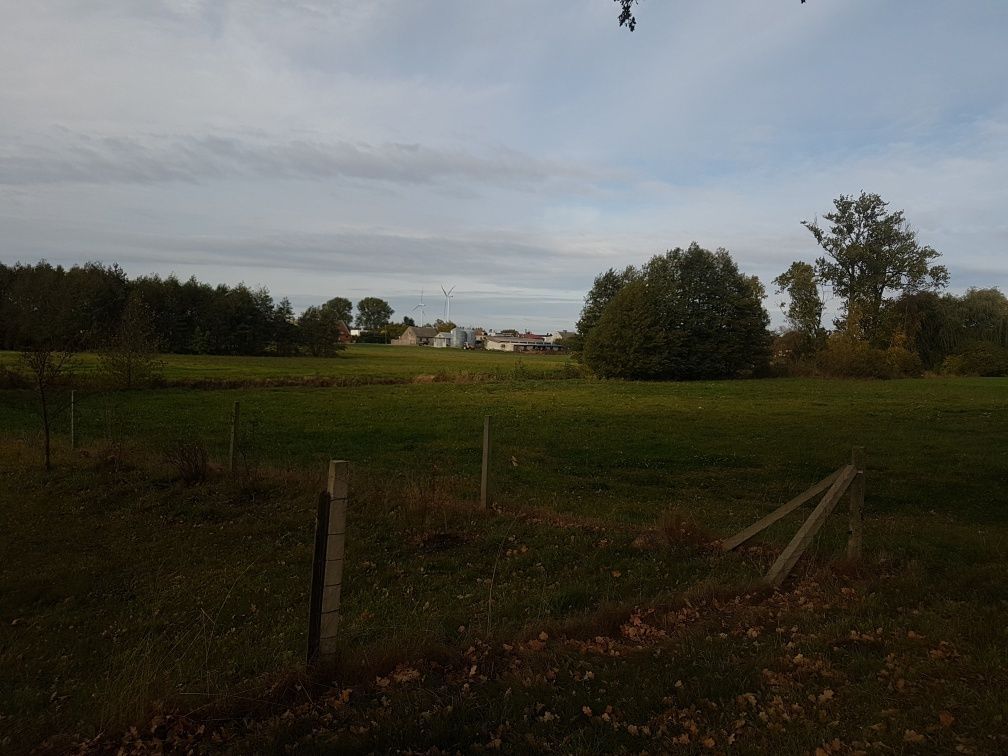 Działka rolna Runowo Krajeńskie. Zdjęcie 4