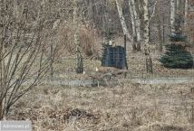 Mieszkanie 4-pokojowe Wieliczka Krzyszkowice, ul. Różana. Zdjęcie 3