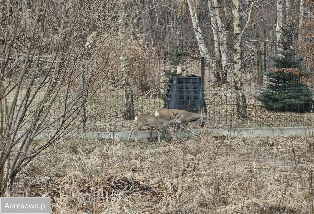 Mieszkanie 4-pokojowe Wieliczka Krzyszkowice, ul. Różana. Zdjęcie 4