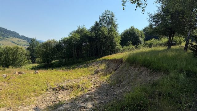 Działka Muszyna, ul. Grunwaldzka. Zdjęcie 4