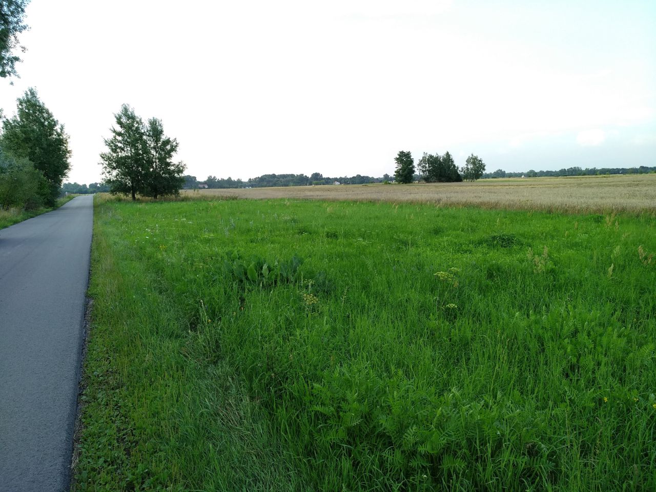 Działka inwestycyjna Głusk. Zdjęcie 4