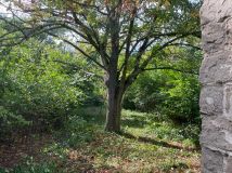 Działka rolno-budowlana Gruszczyce. Zdjęcie 4