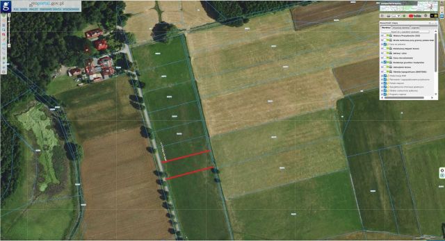 Działka rekreacyjna Lubockie, ul. Leśna. Zdjęcie 1