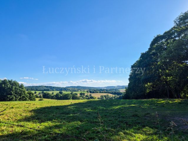 Działka siedliskowa Dębowy Gaj. Zdjęcie 6