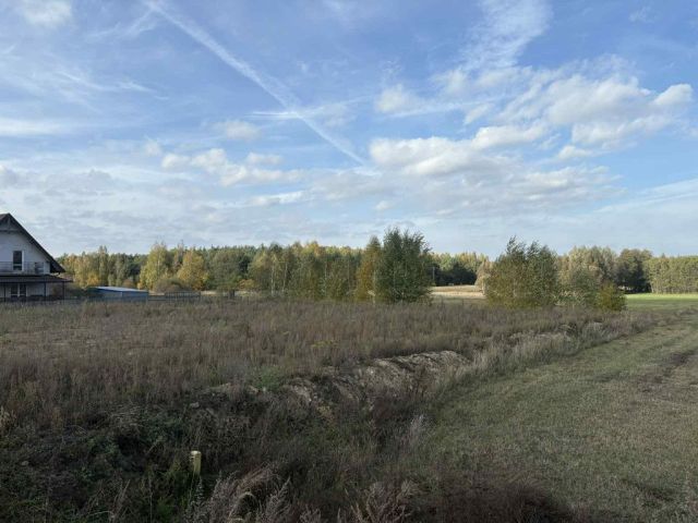 Działka rolna Marków-Towarzystwo. Zdjęcie 1