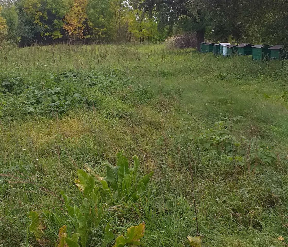 dom wolnostojący Gowarczów. Zdjęcie 4