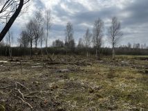 Działka rolno-budowlana Nowy Wiec