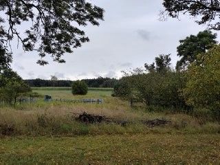 Działka rolno-budowlana Tarnowiec. Zdjęcie 7