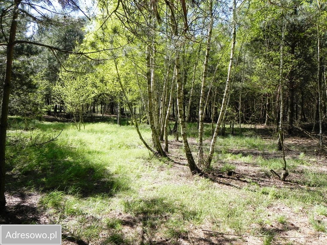 Działka rolno-budowlana Chrostkowo. Zdjęcie 6