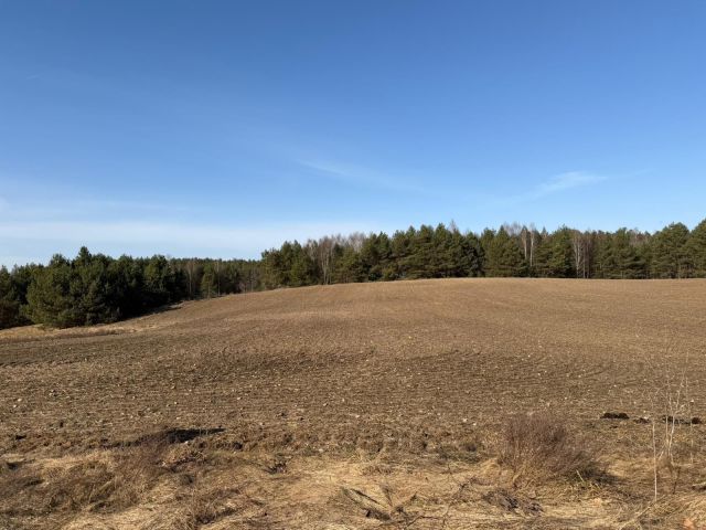 Działka rolna Czarna Woda Huta Kalna. Zdjęcie 1