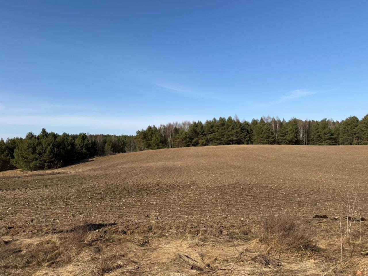 Działka rolna Czarna Woda Huta Kalna. Zdjęcie 1