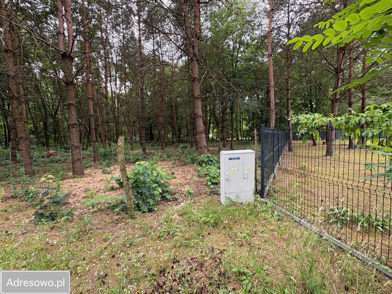 Działka budowlana Wężyk. Zdjęcie 4