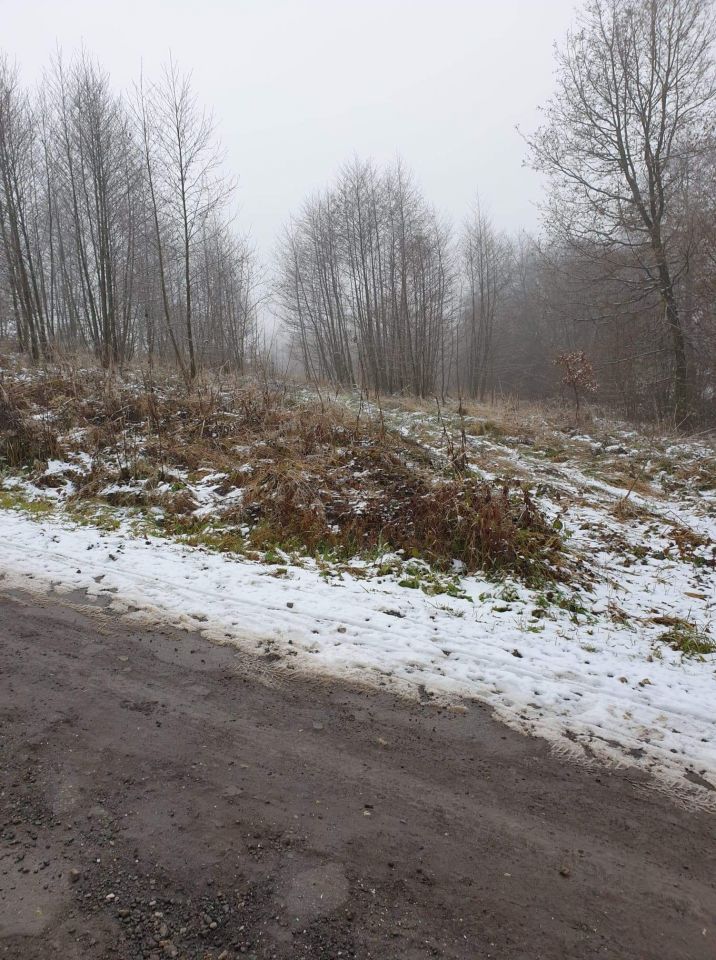 Działka rolna Pawlikowice Na Mostkach, ul. Ks. Jana Latuska. Zdjęcie 3