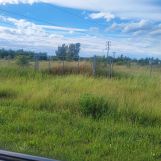 Działka budowlana Trzebiatów. Zdjęcie 2