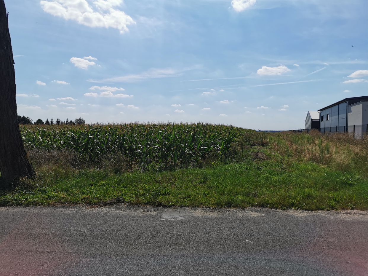 Działka rolno-budowlana Brzostek. Zdjęcie 5