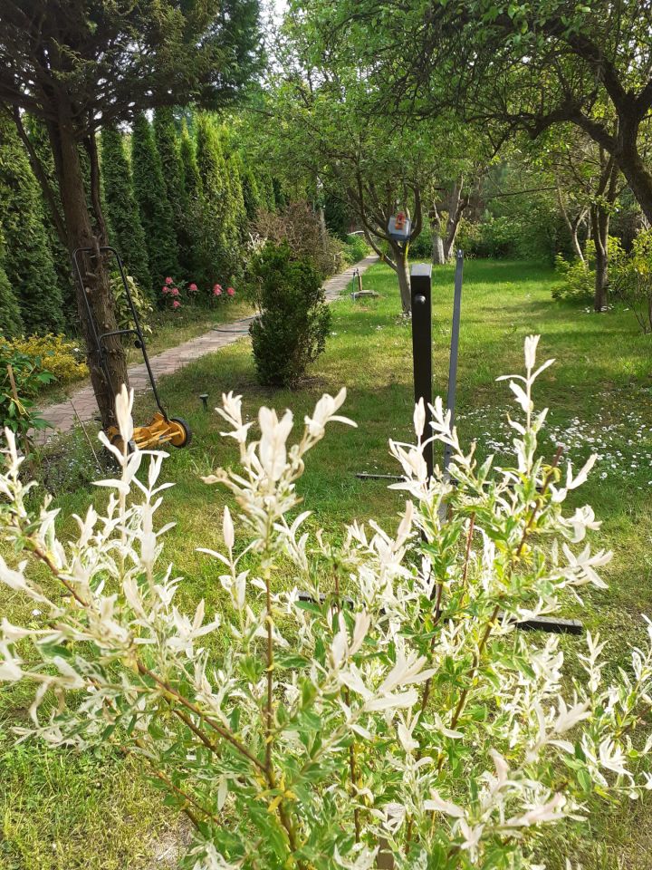 Działka rod Zielona Góra, ul. Osiedle Pomorskie. Zdjęcie 3